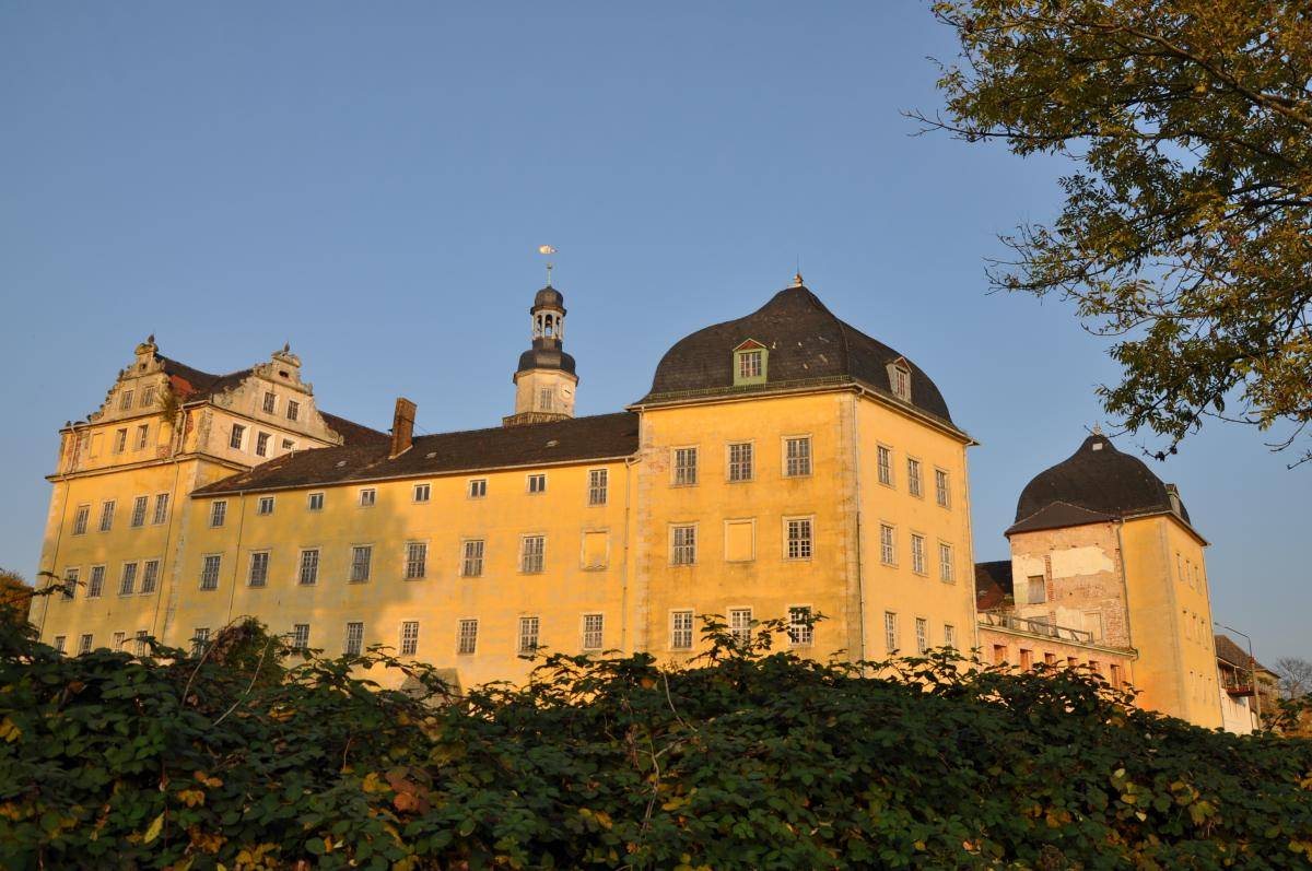 Das Schloss In Coswig Anhalt 