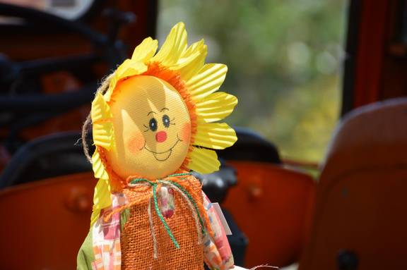 viviane6276 scarecrow 3528334