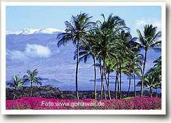 Ansichtskarte von Hawaii