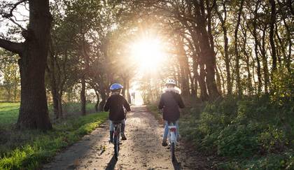 Raus ins Grüne Radtour: Auf dem Flämingradweg einmal durch den Naturpark Radfahren Kinder Pixabay Juni 2022