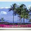 Ansichtskarte von Hawaii